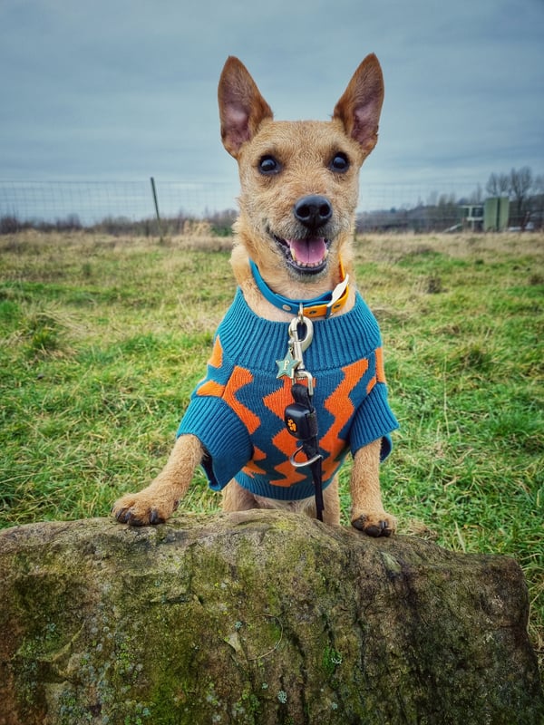 Fenton