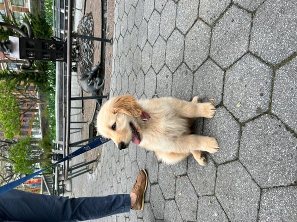 Winston