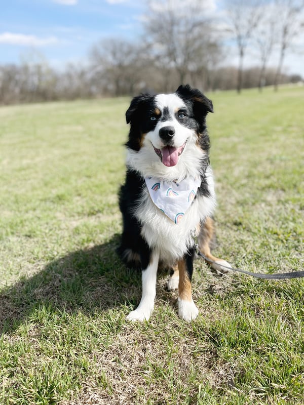 Tucker