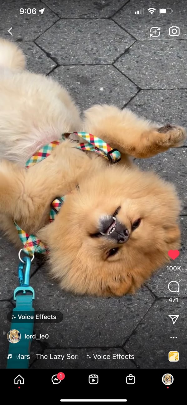 Leo