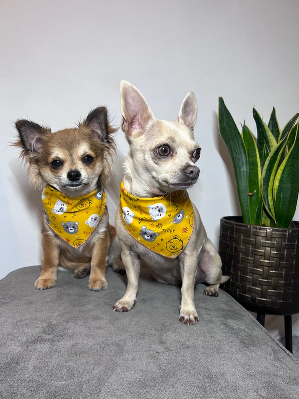 Peanut & Ted