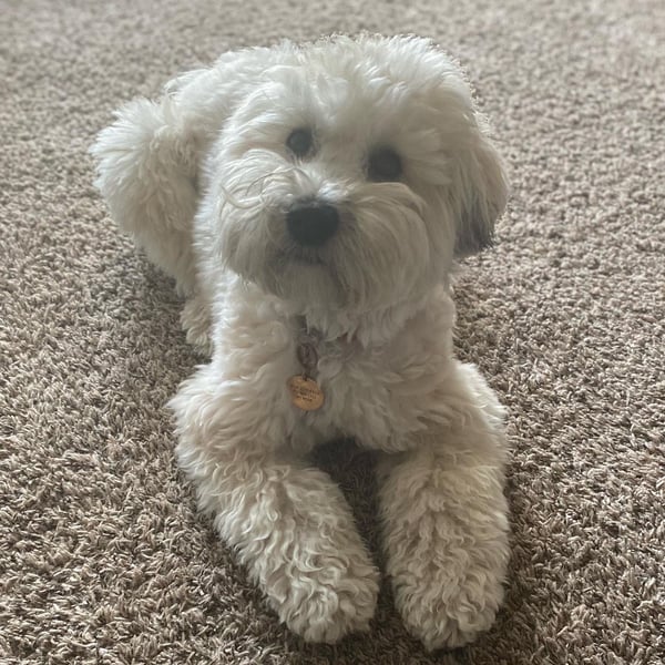 Payton