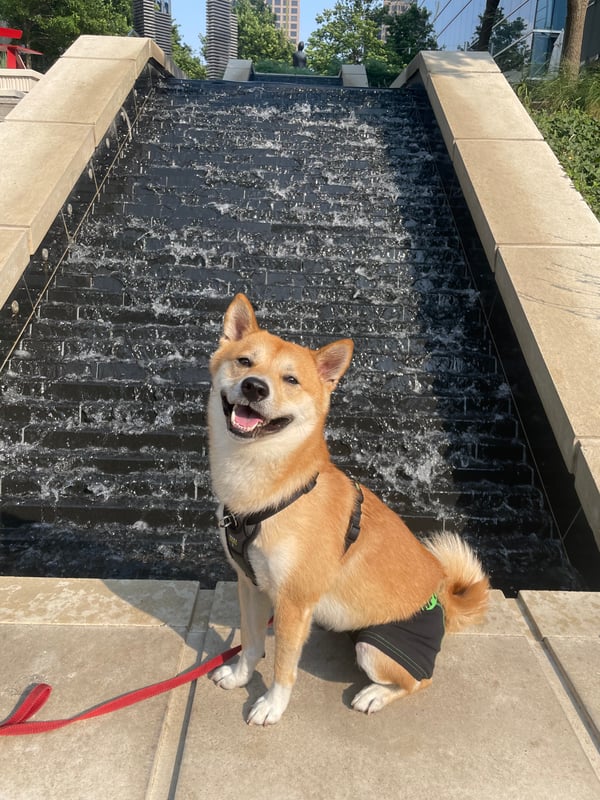 Milo