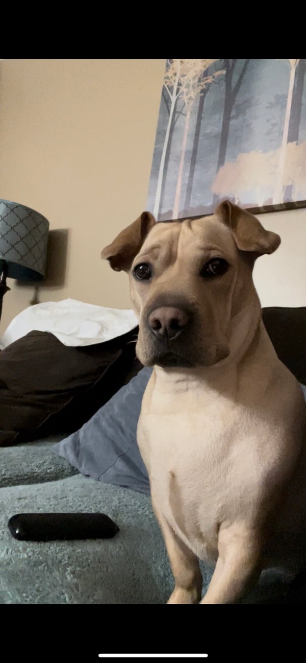 Ben