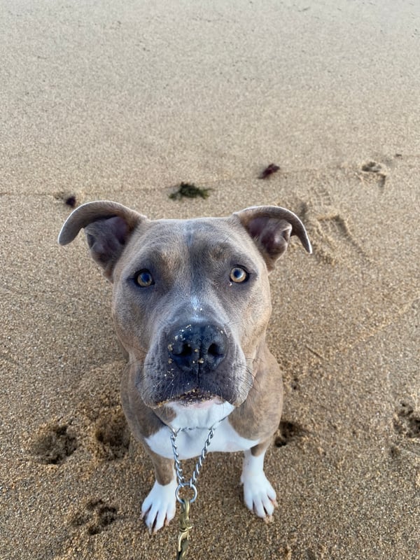 Tilly