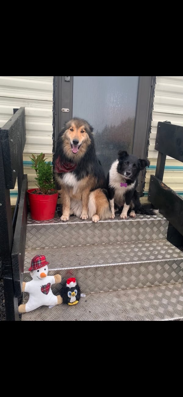 Tilly & Jess