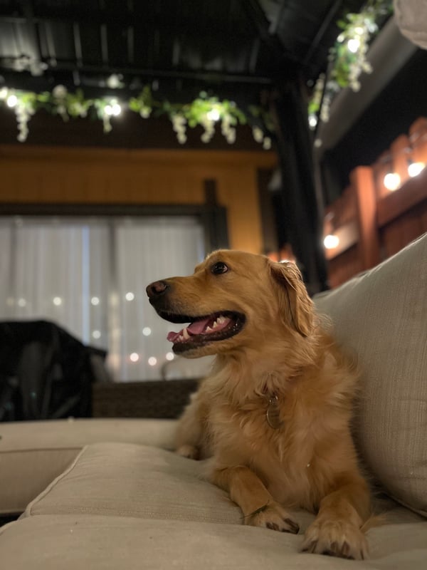 Sadie
