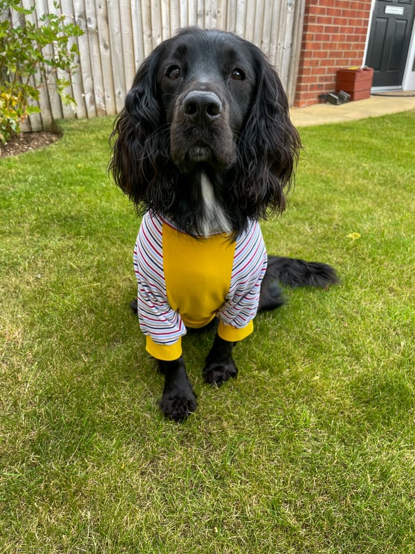 Freddie