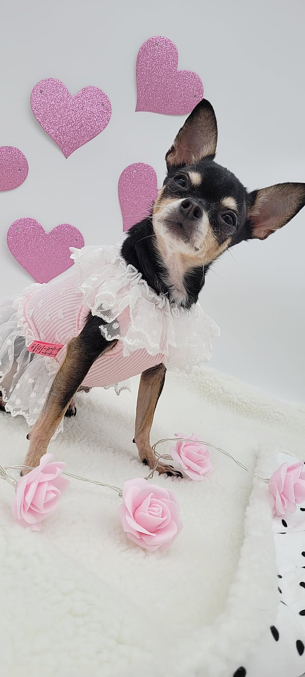 Roxy