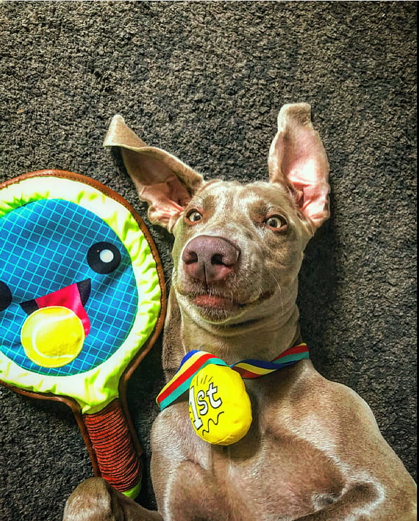 Luna