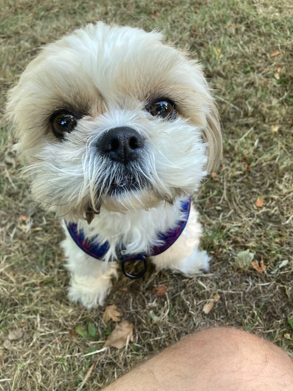 Bonnie
