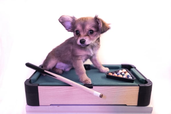 Snooker