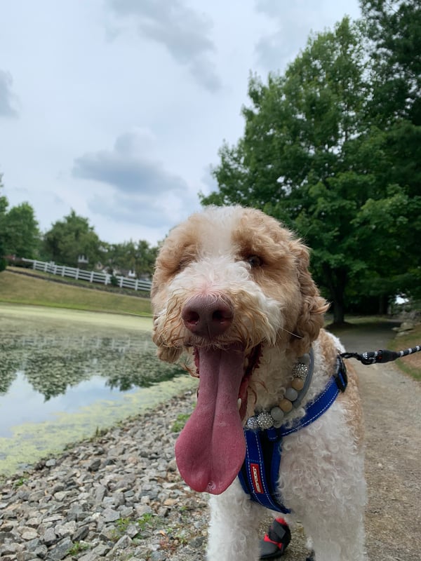 Barkley