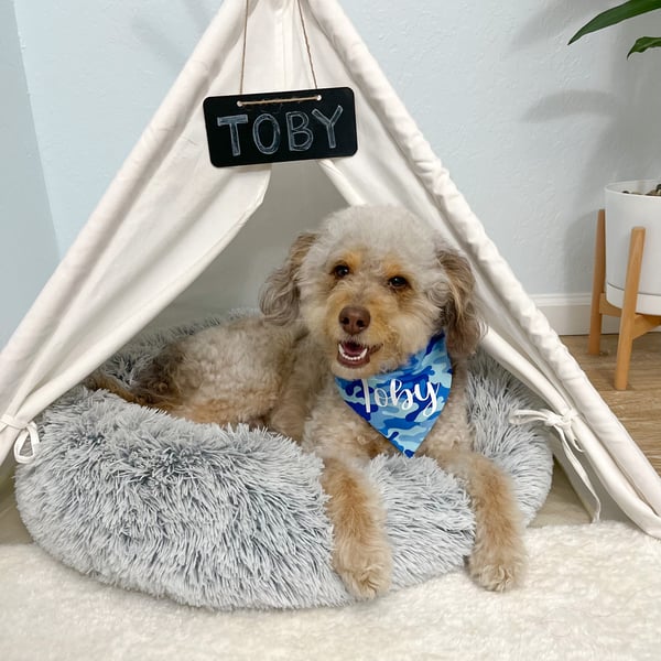 Toby