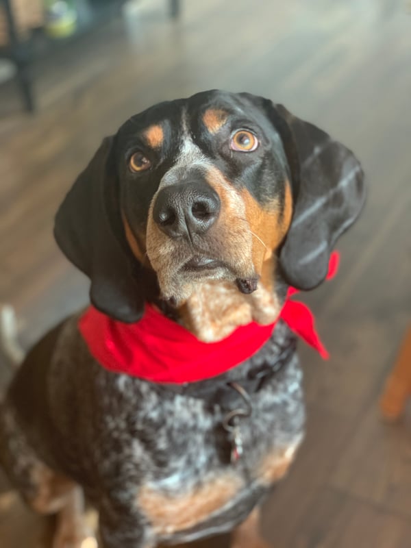 Tucker