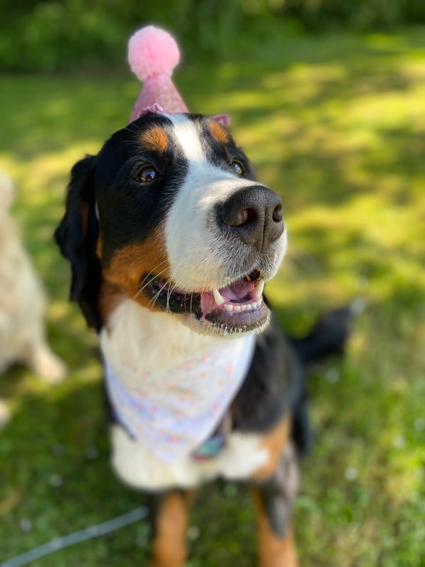 Doris