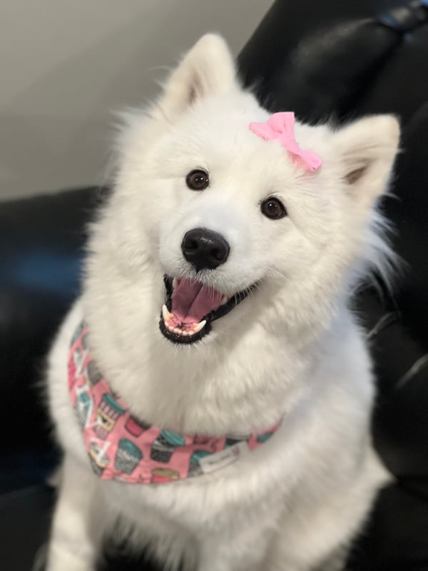 Nina
