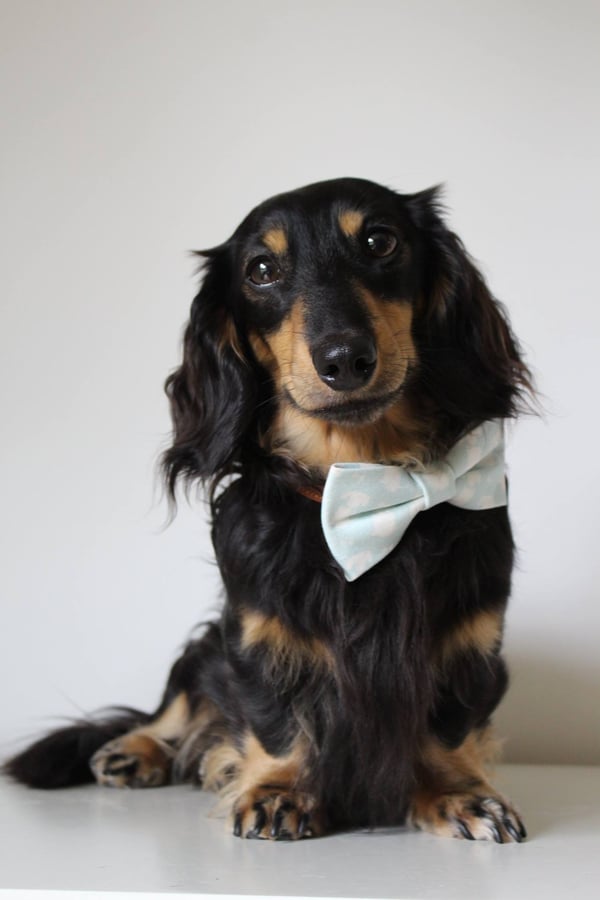 Instagram Story Sequence