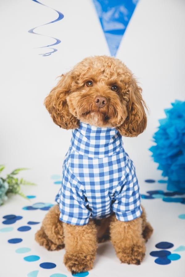 Rufus