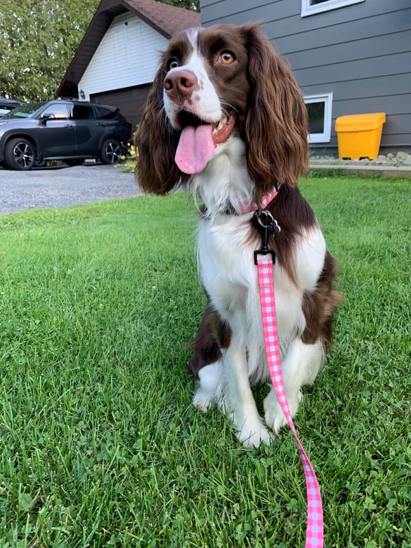 Marley