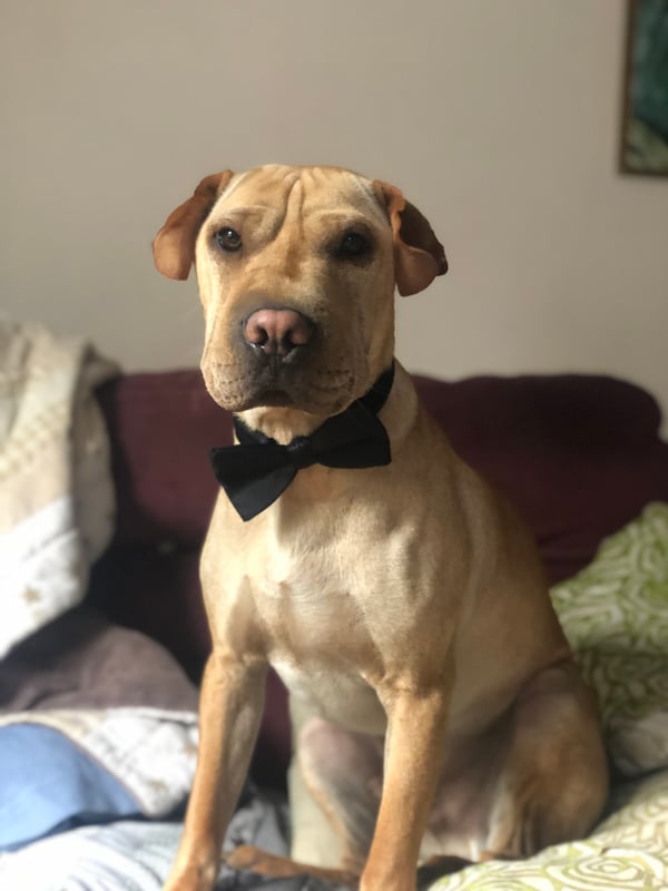 Frankie