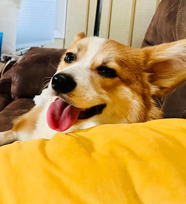 Tommy Twinkle