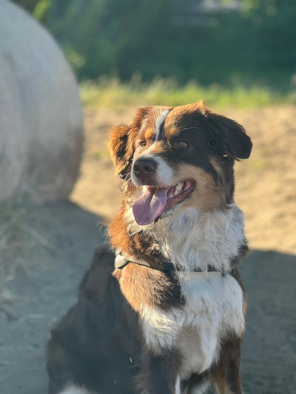 Nora