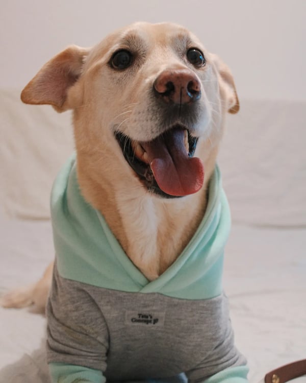 Benny