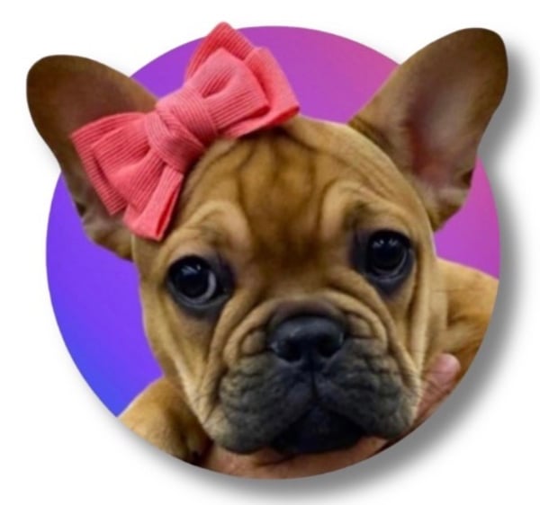 Frida