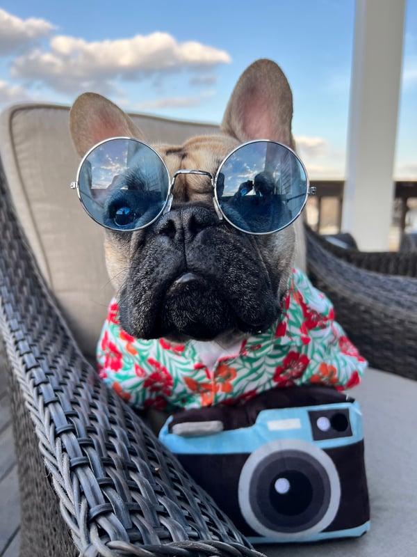 Mayor Wilbur