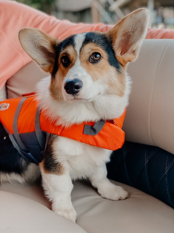 Bucket