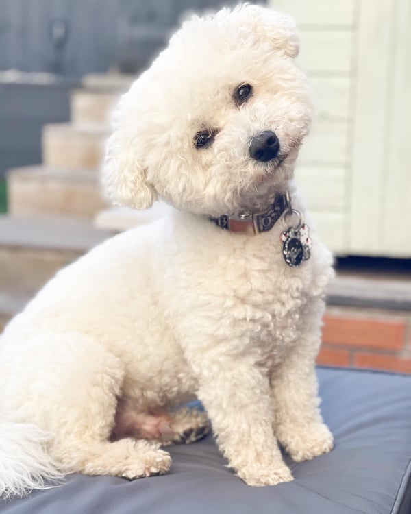 Milo