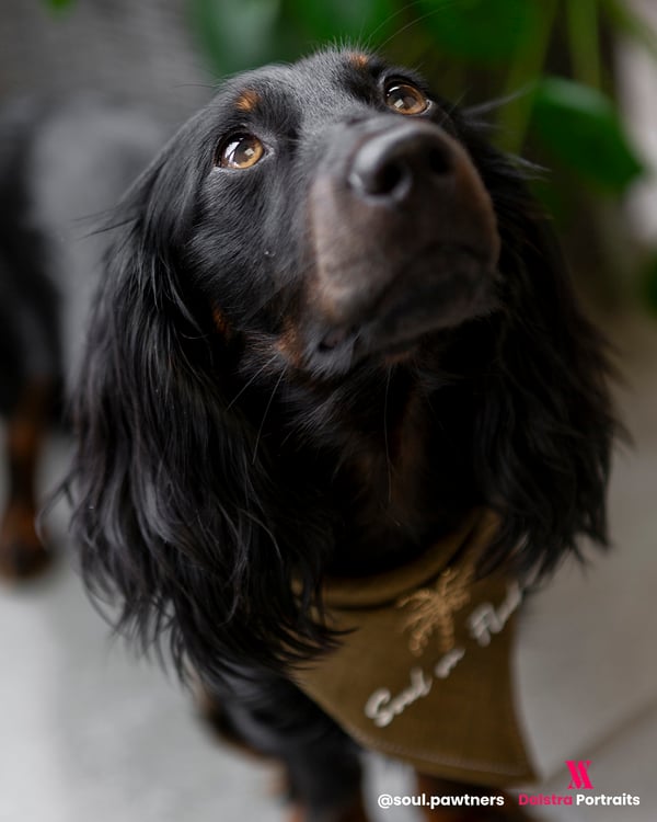 Marley