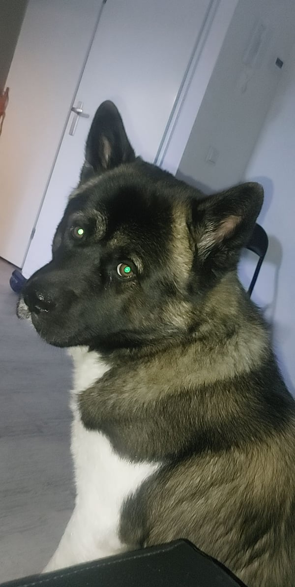 Benzo