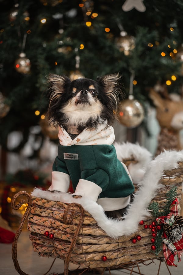 Desty