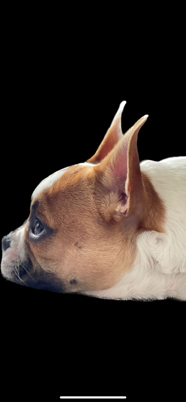 Charlie