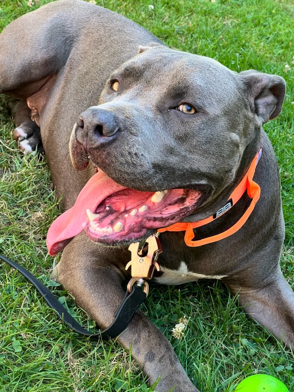 Early