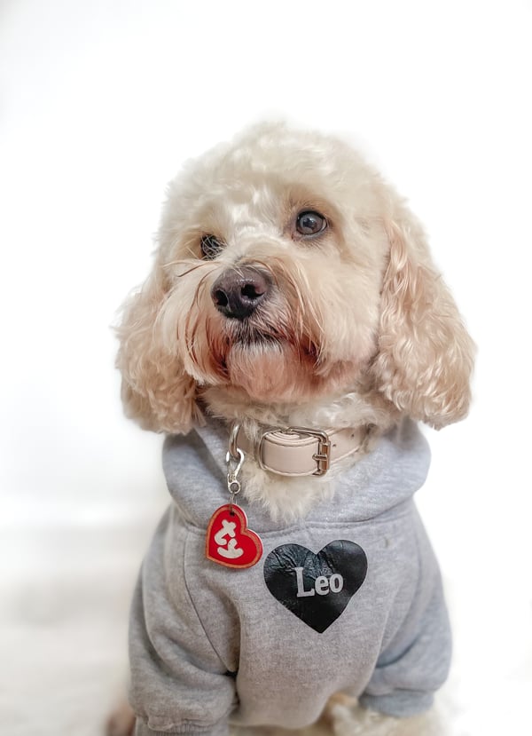 Leo
