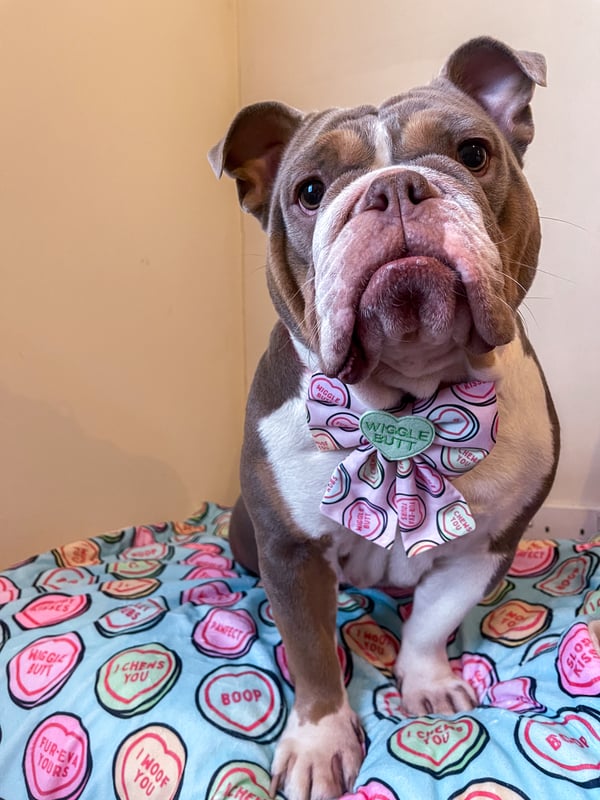Bonnie