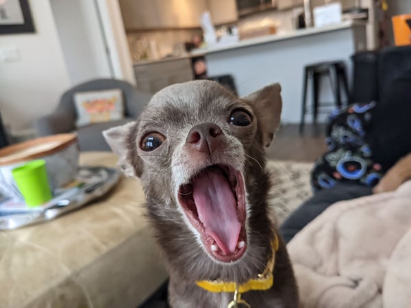 Tammy Faye Barker