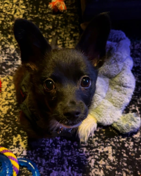 Edgar