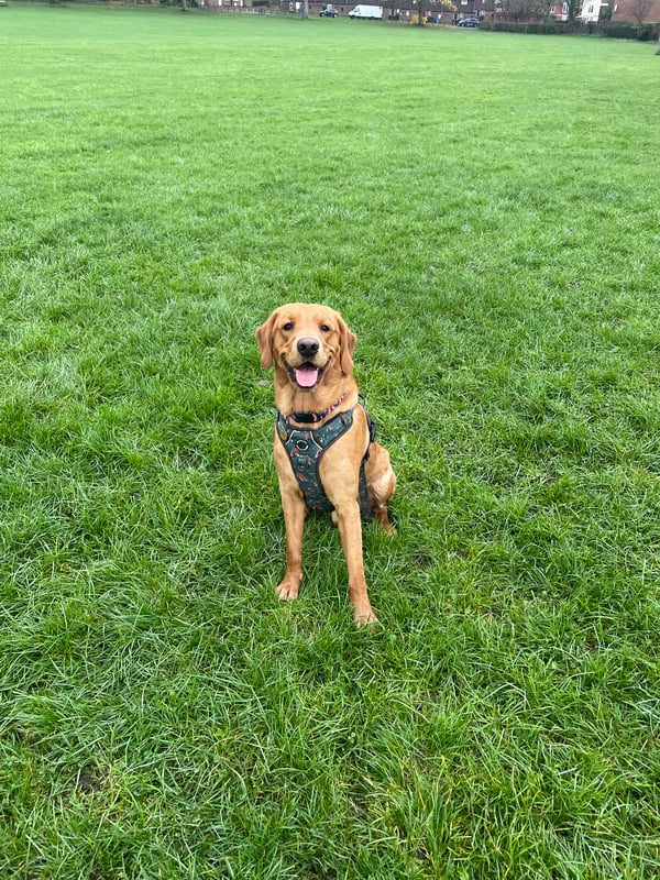 George