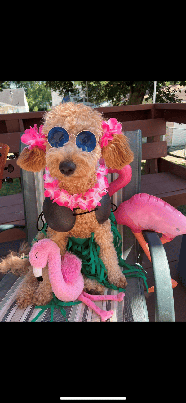 Daisy Mae