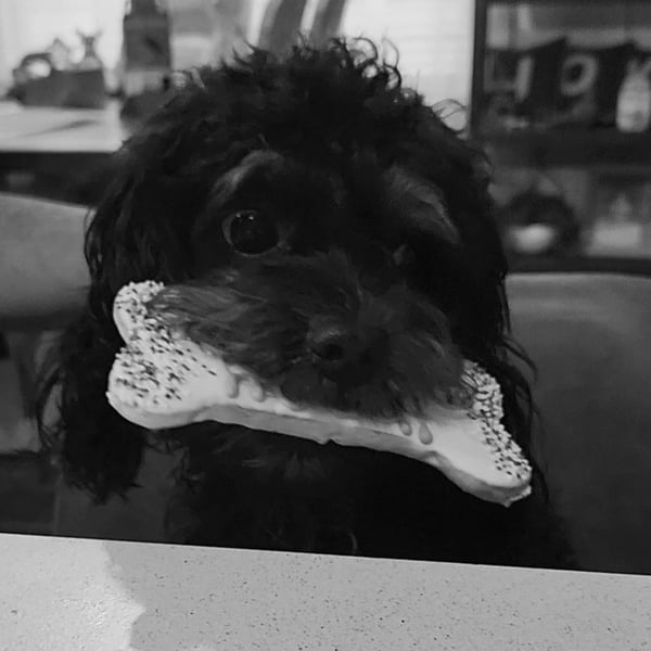 Rocky