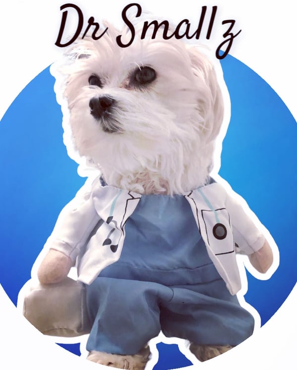 Dr Smallz