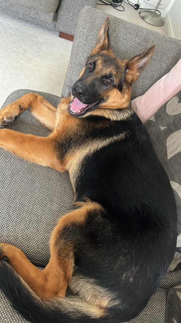 Nico
