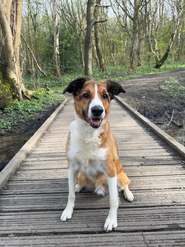 Baxter