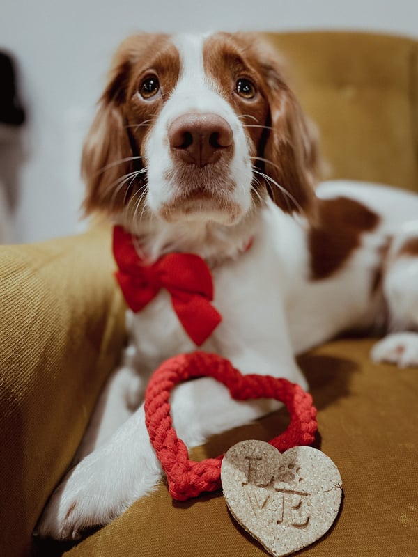 Oscar