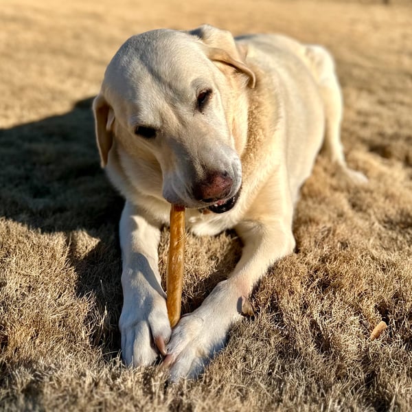 Charlie