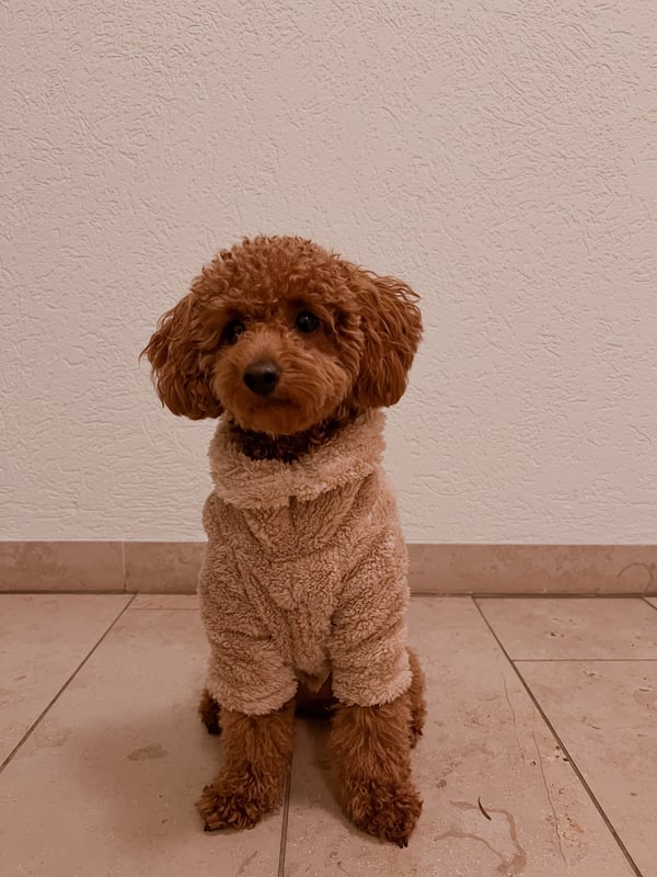 Bobbi